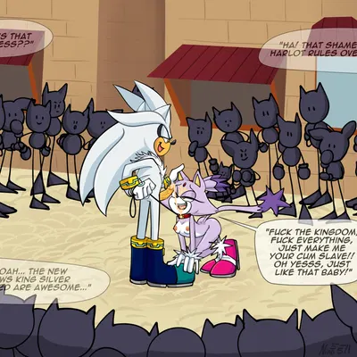 blaze the cat, silver the hedgehog (sega, sonic the hedgehog (series)) created by ninotrash