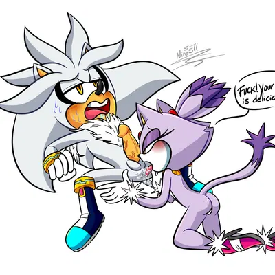 blaze the cat, silver the hedgehog (sega, sonic the hedgehog (series)) created by ninotrash
