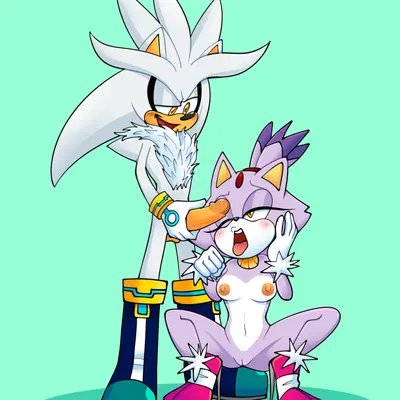 blaze the cat, silver the hedgehog (sega, sonic the hedgehog (series)) created by ninotrash