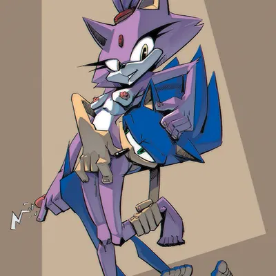 blaze the cat, sonic the hedgehog (sega, sonic the hedgehog (series)) created by copymirror