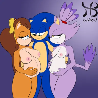 blaze the cat, sonic the hedgehog, tiara boobowski (sega, sonic the hedgehog (series)) created by hiastobasement