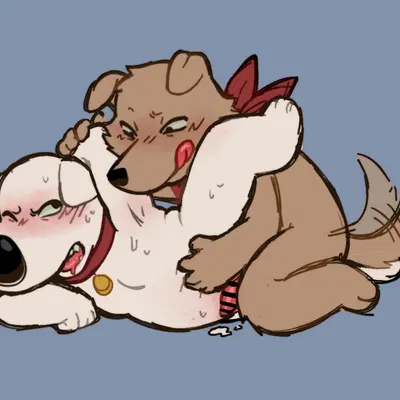 brian griffin, new brian (family guy) created by anonpupb