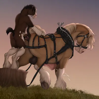 caro (fenn.perrox), xavier (fenn.perrox) created by fenn.perrox