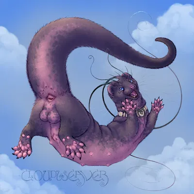 chesawyiin (cloudweaver) created by cloudweaver (artist)