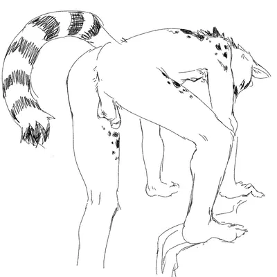 chuff (ganii) created by kafka (artist)