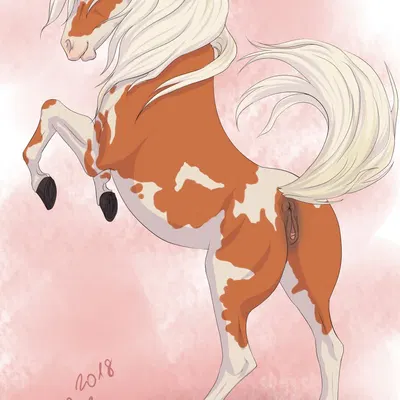 citag (citagalpha) created by rufciu