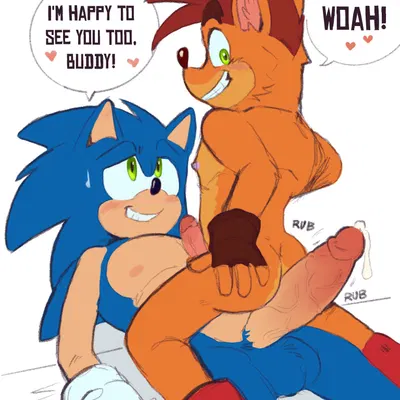 crash bandicoot, sonic the hedgehog (activision, crash bandicoot (series)) created by aciidtron