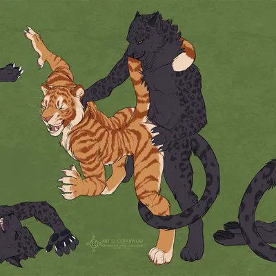 created by cedarwolf