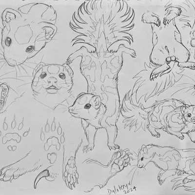 created by dyloteryx