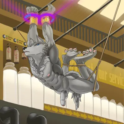 created by fnlinwsh1725861