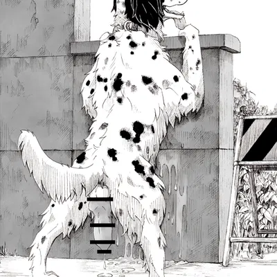 created by hot dog wolf