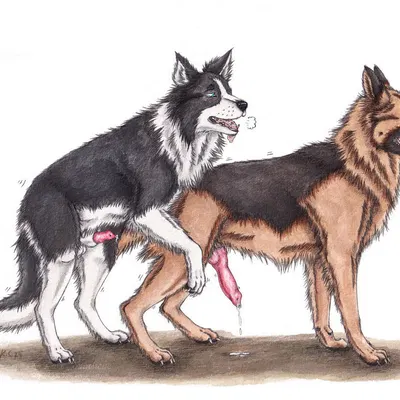 created by kola (artist)