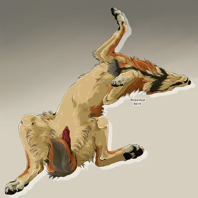 created by msdeadsoul