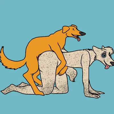 created by orangecat