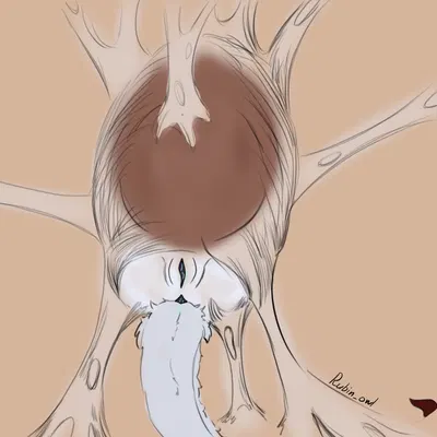 created by rubin owl