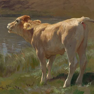 created by rudolph koller