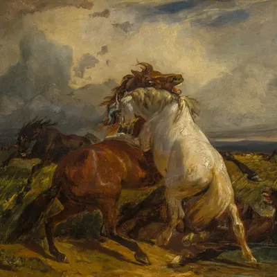 created by rudolph koller