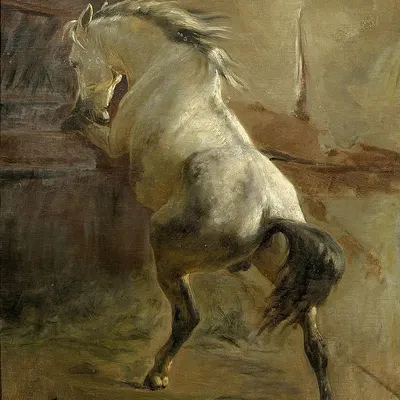 created by rudolph koller