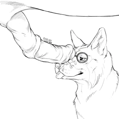 created by sketchy shelby