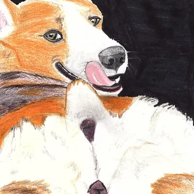 created by thegoldenshepherd