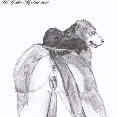 created by thegoldenshepherd