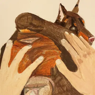 created by thegoldenshepherd