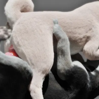 created by trioami260