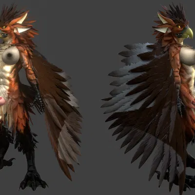 created by zealotdkd