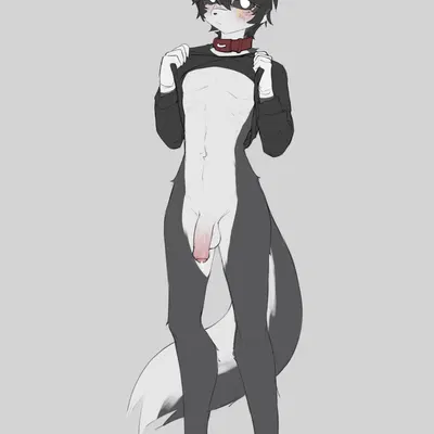 felix (caninelatte) created by caninelatte