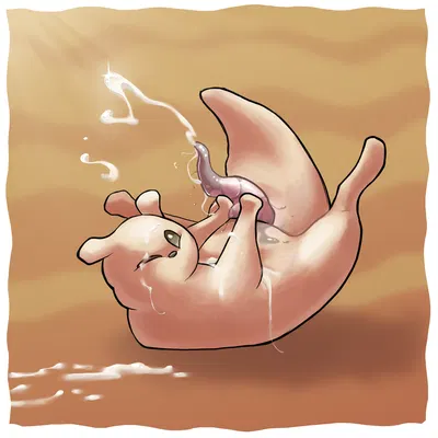 gourmand (rain world) (rain world, videocult) created by comfortik