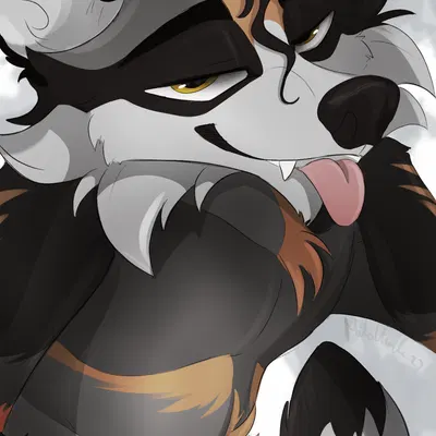 hades (raccoon) created by miko umbra