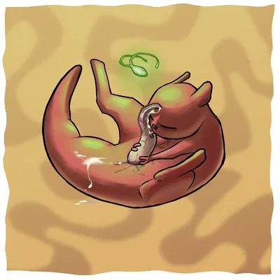 hunter (rain world) (rain world, videocult) created by comfortik