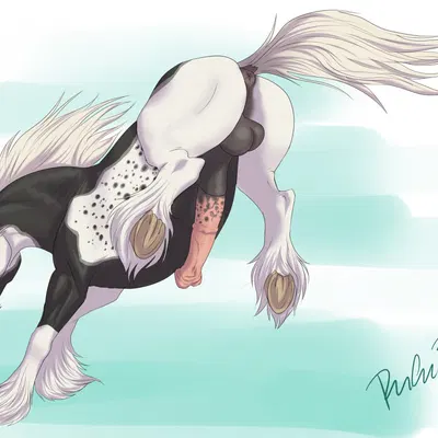 jaskier (fenn.perrox) created by rufciu