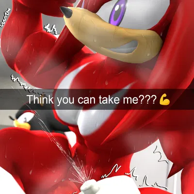 knuckles the echidna, shadow the hedgehog (sega, sonic the hedgehog (series)) created by neotaurus