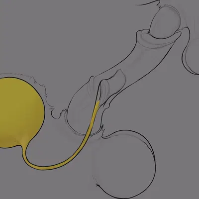 kuruk (character) created by sendar