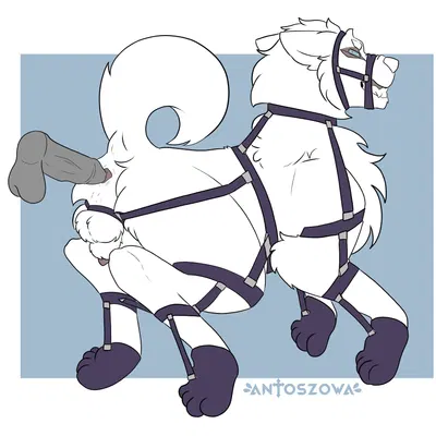 lord darcia iii (wolf's rain) created by antoszowa