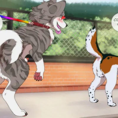 maxly (wolfsbeagle) created by psychobatsu