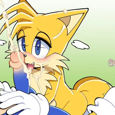 miles prower, sonic the hedgehog (sega, sonic the hedgehog (series)) created by senshion