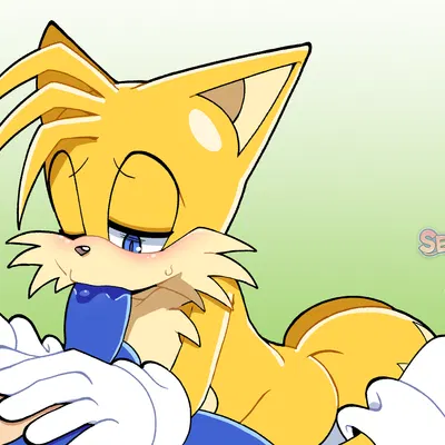 miles prower, sonic the hedgehog (sega, sonic the hedgehog (series)) created by senshion