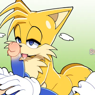 miles prower, sonic the hedgehog (sega, sonic the hedgehog (series)) created by senshion