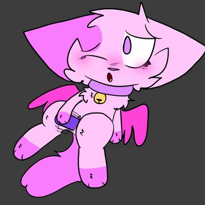 miranda (mirandapaws)