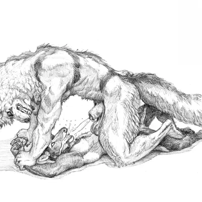 mo (momamo) (mythology) created by karlos, momamo