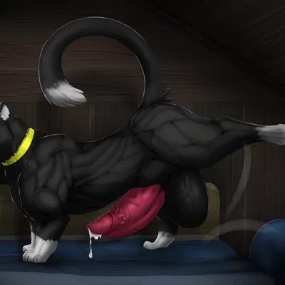 morgana (persona) (persona (series), persona 5) created by xatanlion