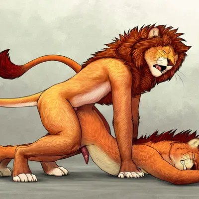 mrmeows created by anchee