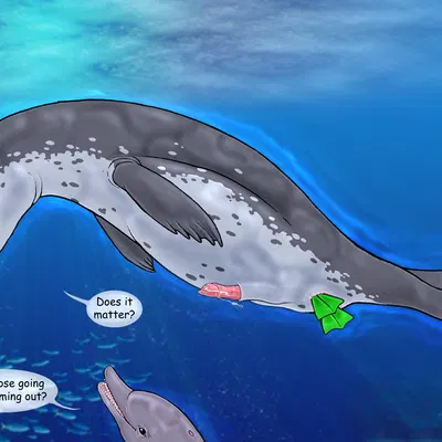 natiq created by strega