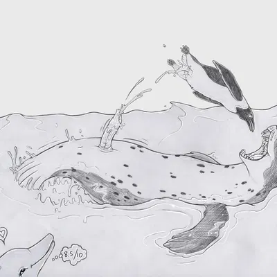 natiq, salome (strega) created by strega