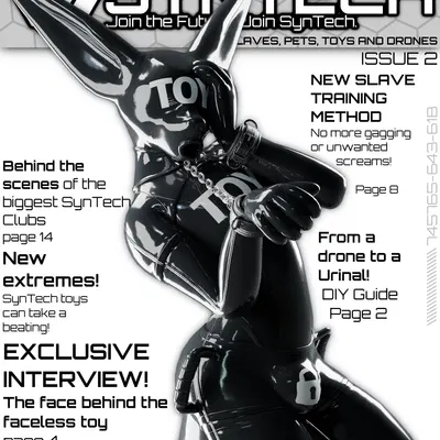 niko (bounddev) created by bounddev