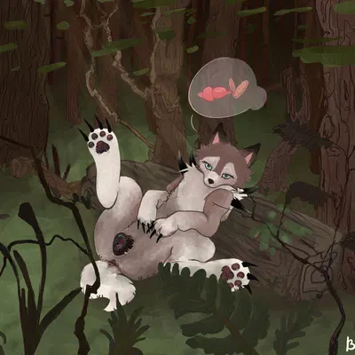 nintendo, pokemon created by birbobuzzle