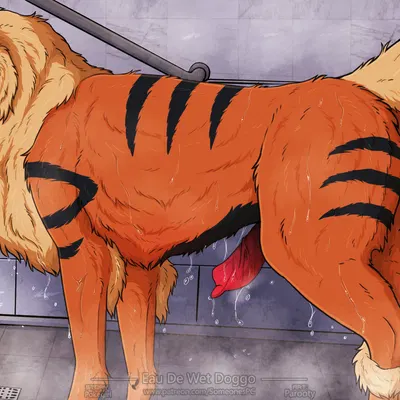 nintendo, pokemon created by parooty