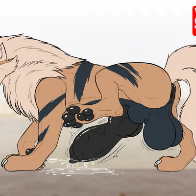 nintendo, pokemon created by vancanto